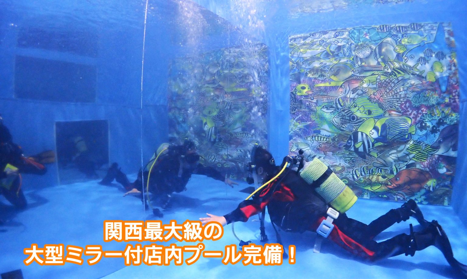 ダイビングスクールココモ